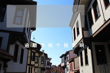 逾期申报个税影响 逾期申报个税影响