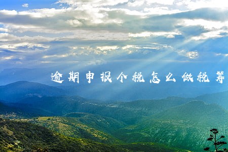 逾期申报个税怎么做税筹 逾期申报个税怎么做税筹