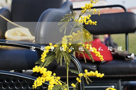 逾期申报个税怎么处理 逾期申报个税怎么处理