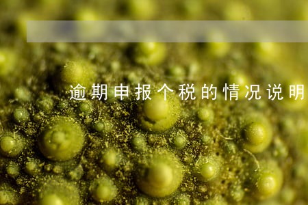逾期申报个税的情况说明