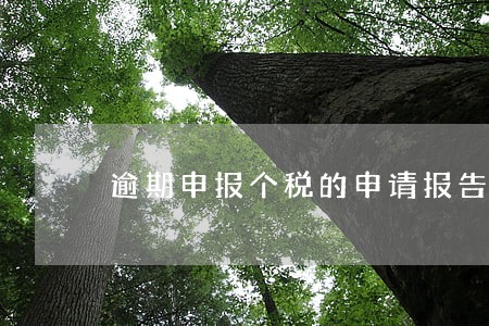逾期申报个税的申请报告 逾期申报个税的申请报告