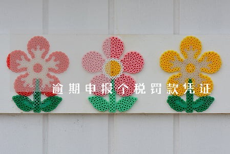 逾期申报个税罚款凭证 逾期申报个税罚款凭证
