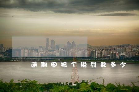 逾期申报个税罚款多少 逾期申报个税罚款多少