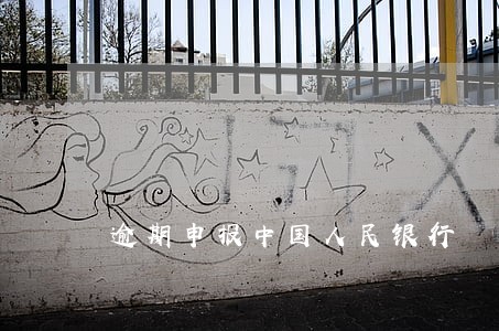 逾期申报中国人民银行 逾期申报中国人民银行