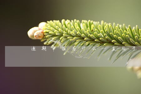 逾期申报为什么一直处于未导入 逾期申报为什么一直处于未导入