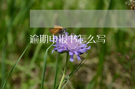 逾期申报书怎么写
