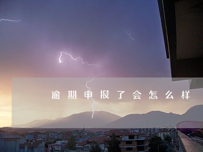 逾期申报了会怎么样 逾期申报了会怎么样