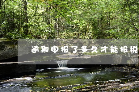 逾期申报了多久才能报税 逾期申报了多久才能报税