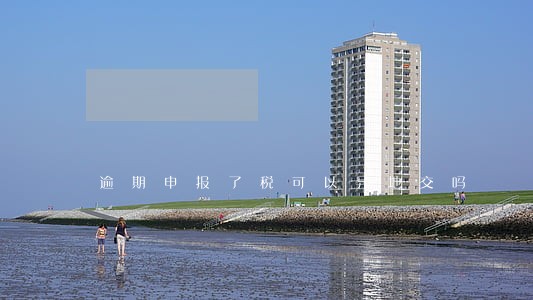 逾期申报了税可以异地交吗 逾期申报了税可以异地交吗
