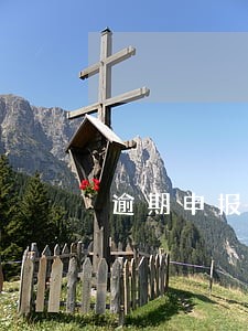 逾期申报了需可以在网上处理吗 逾期申报了需可以在网上处理吗