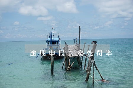 逾期申报二次处罚率 逾期申报二次处罚率