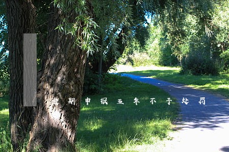 逾期申报五年不予处罚 逾期申报五年不予处罚