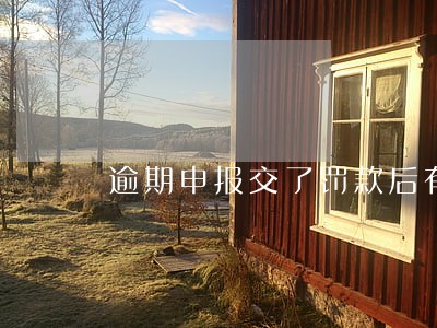 逾期申报交了罚款后有影响吗 逾期申报交了罚款后有影响吗