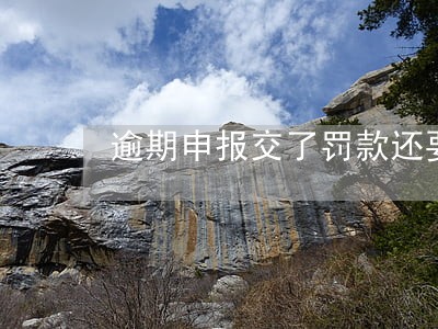 逾期申报交了罚款还要申报吗 逾期申报交了罚款还要申报吗