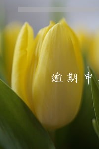 逾期申报交完罚款 逾期申报交完罚款