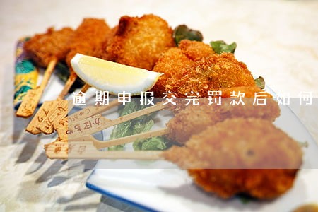 逾期申报交完罚款后如何补申报