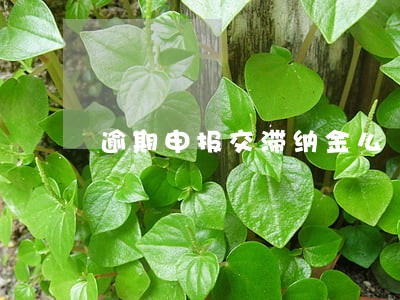 逾期申报交滞纳金么