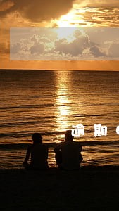 逾期申报交罚款 逾期申报交罚款