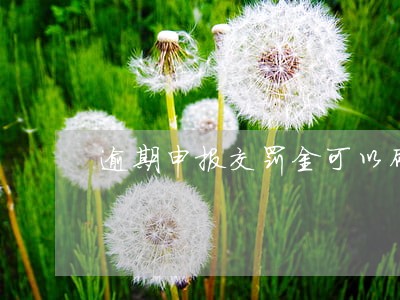 逾期申报交罚金可以刷卡吗 逾期申报交罚金可以刷卡吗