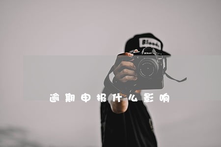 逾期申报什么影响 逾期申报什么影响
