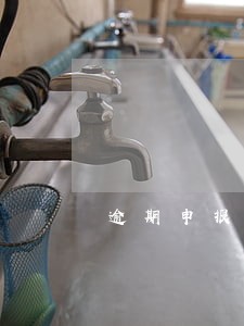 逾期申报什么情况算严重 逾期申报什么情况算严重