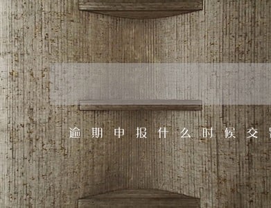 逾期申报什么时候交罚款 逾期申报什么时候交罚款