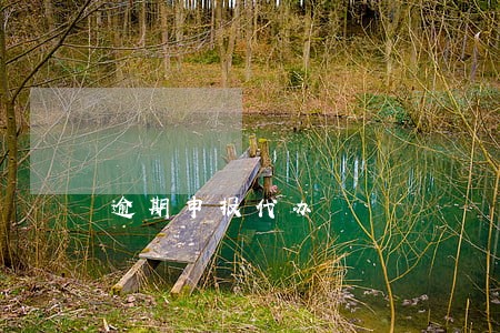 逾期申报代办 逾期申报代办