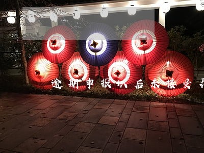 逾期申报以后未接受罚款 逾期申报以后未接受罚款