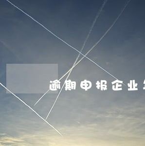 逾期申报企业年报的处罚行政复议 逾期申报企业年报的处罚行政复议