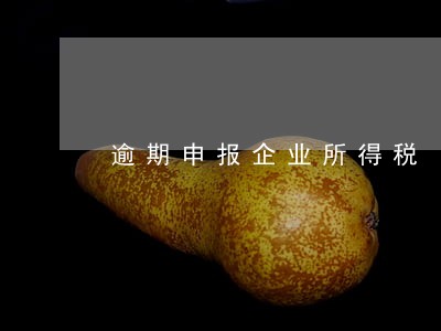 逾期申报企业所得税 逾期申报企业所得税