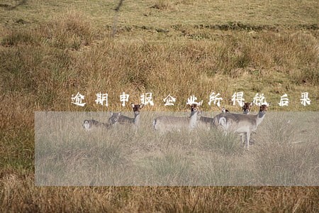 逾期申报企业所得税后果 逾期申报企业所得税后果