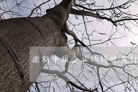 逾期申报企业所得税有什么处罚 逾期申报企业所得税有什么处罚