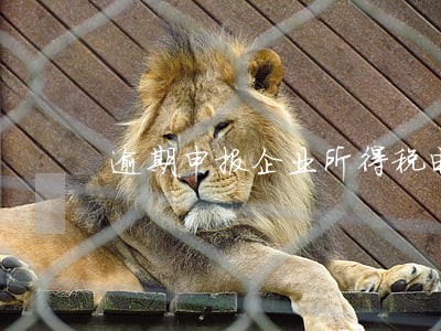 逾期申报企业所得税电子申报