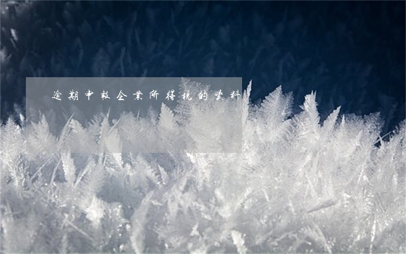 逾期申报企业所得税的资料