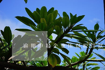 逾期申报企业所得税罚款 逾期申报企业所得税罚款