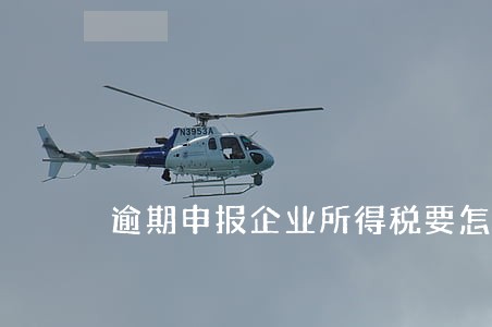 逾期申报企业所得税要怎么申报 逾期申报企业所得税要怎么申报