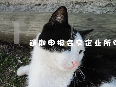逾期申报会交企业所得税吗