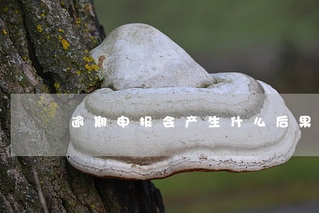 逾期申报会产生什么后果