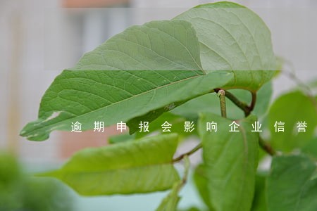 逾期申报会影响企业信誉吗 逾期申报会影响企业信誉吗