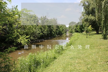逾期申报会怎么处理 逾期申报会怎么处理