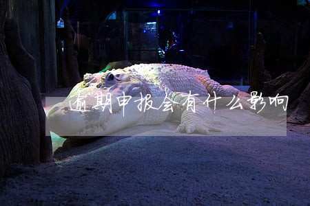 逾期申报会有什么影响 逾期申报会有什么影响