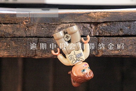 逾期申报会有滞纳金吗 逾期申报会有滞纳金吗