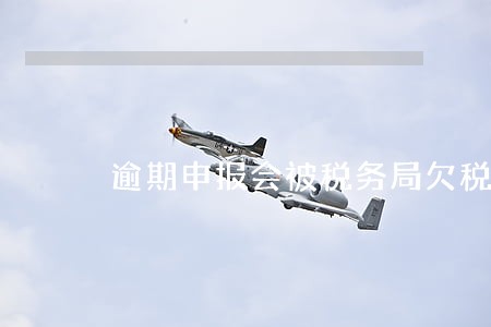 逾期申报会被税务局欠税公告 逾期申报会被税务局欠税公告
