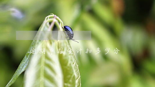 逾期申报会计扣多少分 逾期申报会计扣多少分