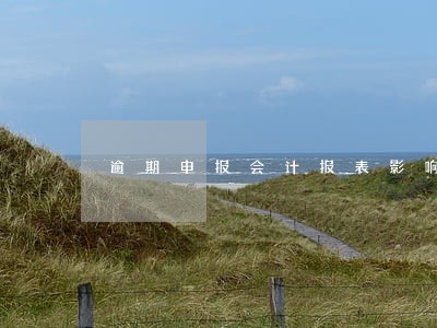逾期申报会计报表影响信用吗 逾期申报会计报表影响信用吗