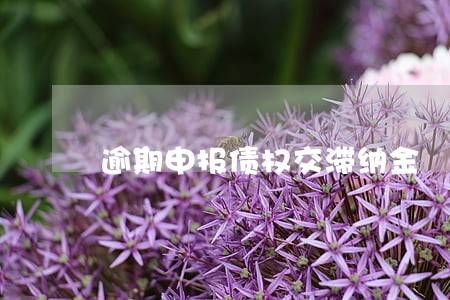 逾期申报债权交滞纳金 逾期申报债权交滞纳金