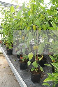 逾期申报债权后果 逾期申报债权后果