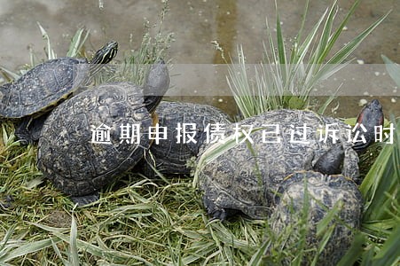 逾期申报债权已过诉讼时效 逾期申报债权已过诉讼时效