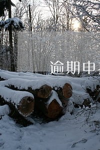 逾期申报债权怎么处理 逾期申报债权怎么处理