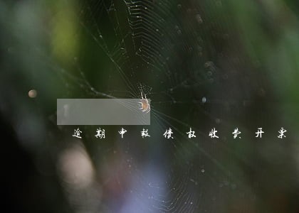 逾期申报债权收费开票 逾期申报债权收费开票